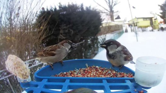 WhatsApp Image 2026-01-30 at 15.37.52 (7).jpeg WhatsApp Image 2026-01-30 at 15.37.52 (7).jpeg