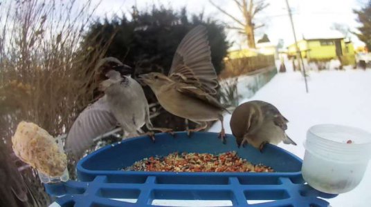 WhatsApp Image 2026-01-30 at 15.37.52 (6).jpeg WhatsApp Image 2026-01-30 at 15.37.52 (6).jpeg