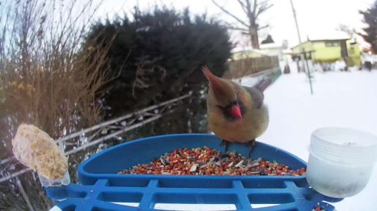 WhatsApp Image 2026-01-30 at 15.37.52 (5).jpeg WhatsApp Image 2026-01-30 at 15.37.52 (5).jpeg