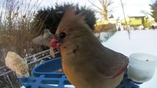 WhatsApp Image 2026-01-30 at 15.37.52 (4).jpeg