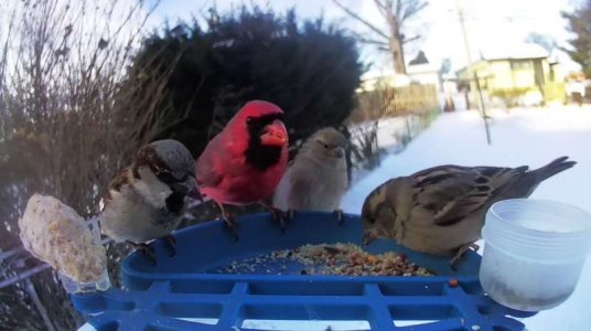 WhatsApp Image 2026-01-30 at 15.37.52 (3).jpeg