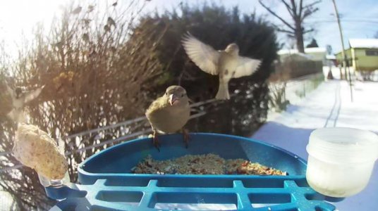 WhatsApp Image 2026-01-30 at 15.37.52 (2).jpeg