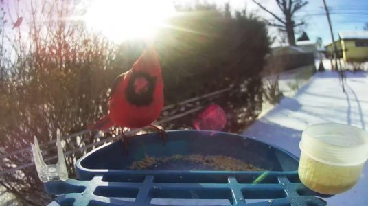 WhatsApp Image 2026-01-30 at 15.37.52 (1).jpeg