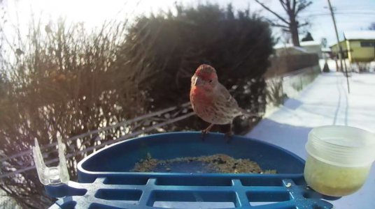 WhatsApp Image 2026-01-30 at 15.37.52.jpeg