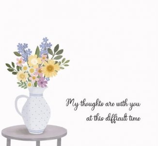 IMG_4404.jpeg IMG_4404.jpeg