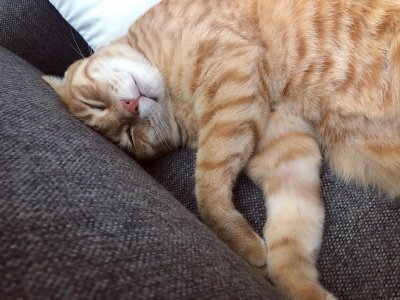 300570546_2968314070127941_8505303410387526357_n.jpg 300570546_2968314070127941_8505303410387526357_n.jpg