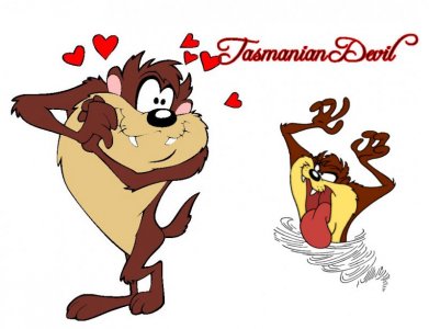 Looney_Toon_Tasmanian_Devil_character_wallpaper_1.jpg