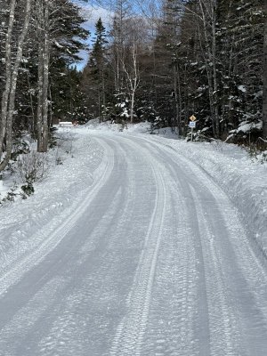 IMG_2290.jpeg IMG_2290.jpeg