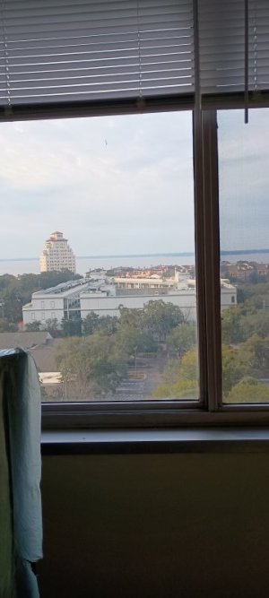 1000004321.jpg 1000004321.jpg