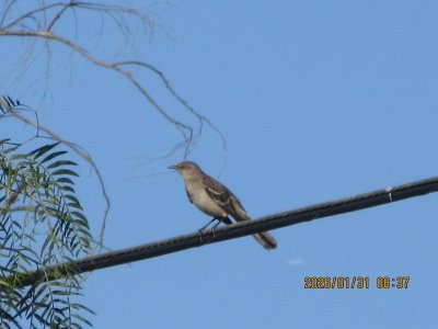 IMG_5717.JPG IMG_5717.JPG