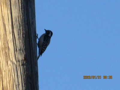 IMG_5711.JPG IMG_5711.JPG