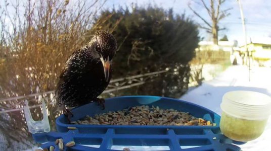 WhatsApp Image 2026-01-31 at 13.32.02 (6).jpeg WhatsApp Image 2026-01-31 at 13.32.02 (6).jpeg