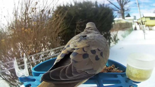 WhatsApp Image 2026-01-31 at 13.32.01.jpeg WhatsApp Image 2026-01-31 at 13.32.01.jpeg