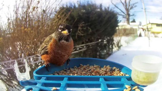 WhatsApp Image 2026-01-31 at 13.32.02 (2).jpeg WhatsApp Image 2026-01-31 at 13.32.02 (2).jpeg