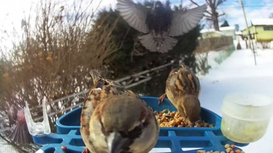 WhatsApp Image 2026-01-31 at 13.32.02.jpeg WhatsApp Image 2026-01-31 at 13.32.02.jpeg