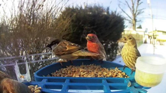 WhatsApp Image 2026-01-31 at 13.32.02 (3).jpeg WhatsApp Image 2026-01-31 at 13.32.02 (3).jpeg