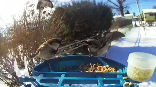 WhatsApp Image 2026-01-31 at 13.32.02 (1).jpeg WhatsApp Image 2026-01-31 at 13.32.02 (1).jpeg