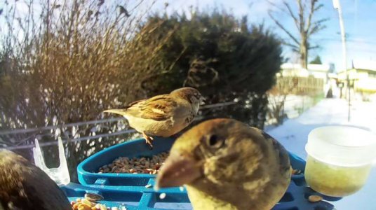 WhatsApp Image 2026-01-31 at 13.32.02 (7).jpeg WhatsApp Image 2026-01-31 at 13.32.02 (7).jpeg