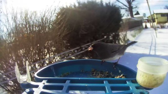 WhatsApp Image 2026-01-31 at 14.42.04.jpeg