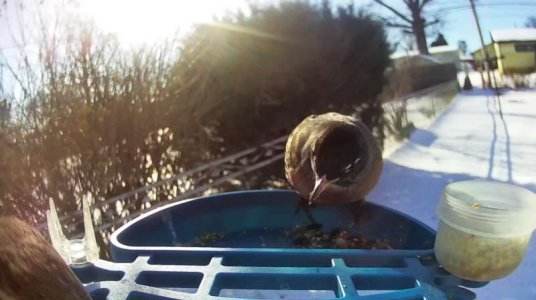 WhatsApp Image 2026-01-31 at 16.02.01.jpeg