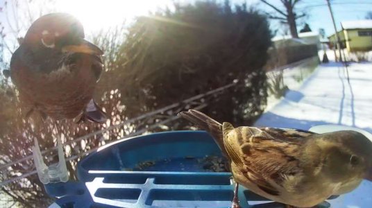 WhatsApp Image 2026-01-31 at 16.02.00.jpeg