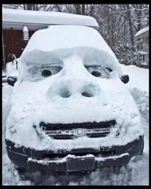 more fun in the snow.jpg