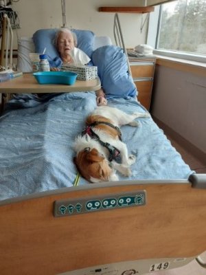 Annie and Harper 0423.jpg