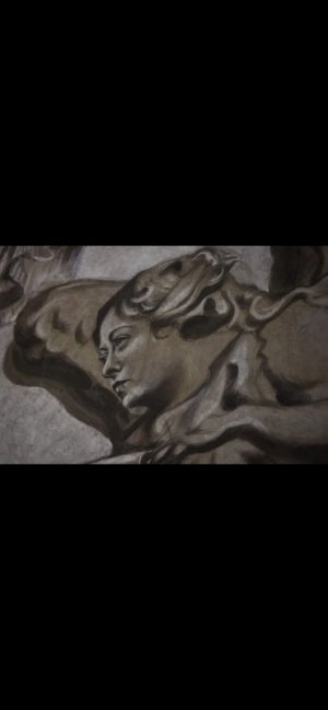 1000045339.jpg 1000045339.jpg