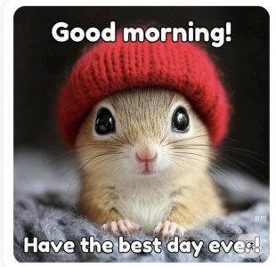 Screen Shot 2026-01-26 at 1.53.07 PM.jpg Screen Shot 2026-01-26 at 1.53.07 PM.jpg