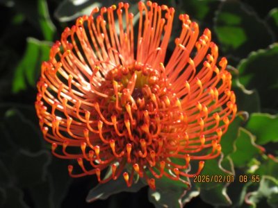 IMG_5749.JPG IMG_5749.JPG