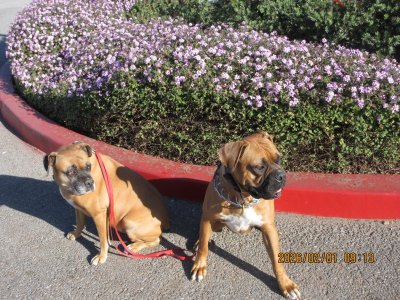 IMG_5752.JPG IMG_5752.JPG