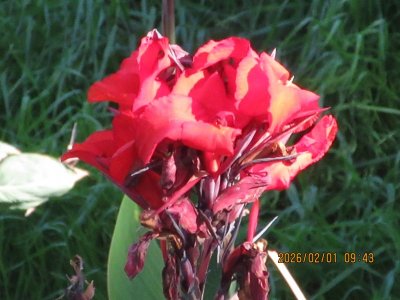 IMG_5784.JPG IMG_5784.JPG