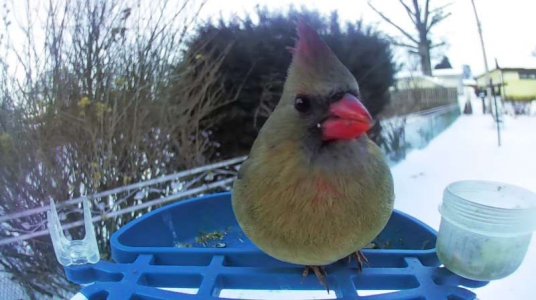 WhatsApp Image 2026-02-01 at 15.00.37 (2).jpeg