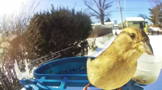 WhatsApp Image 2026-02-01 at 15.00.36 (2).jpeg