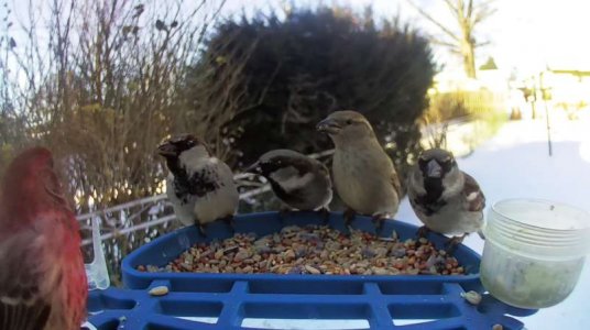 WhatsApp Image 2026-02-01 at 15.00.37.jpeg