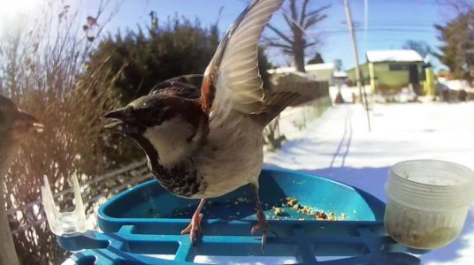 WhatsApp Image 2026-02-01 at 15.00.36 (3).jpeg