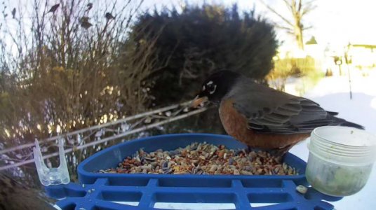 WhatsApp Image 2026-02-01 at 15.00.37 (1).jpeg