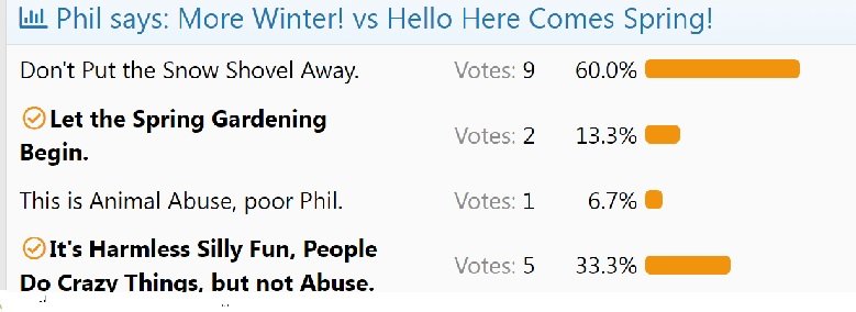 groundhog poll 2026.jpg