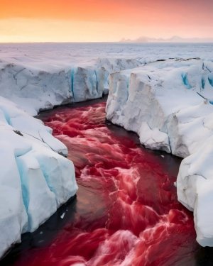 red blood falls antartica.jpg