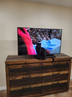 1000015553.jpg 1000015553.jpg