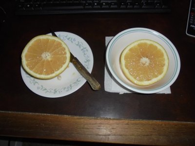 grapefruit.JPG grapefruit.JPG