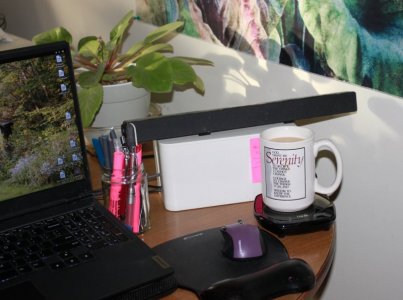 AM_crp.JPG AM_crp.JPG