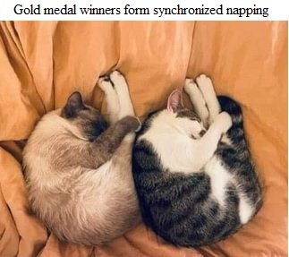 synchronized napping.jpg
