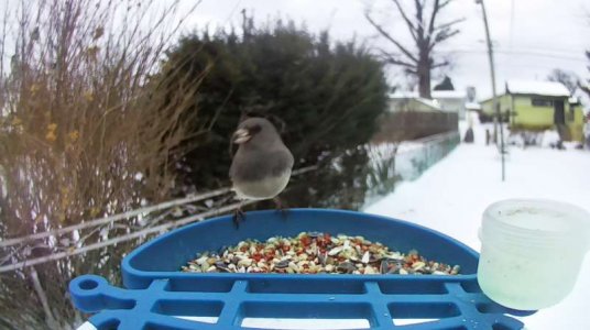 WhatsApp Image 2026-02-03 at 15.50.56 (2).jpeg