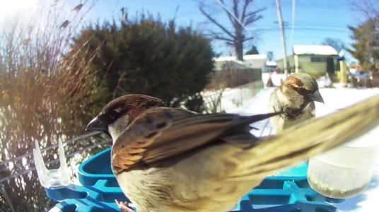 WhatsApp Image 2026-02-03 at 15.50.56 (4).jpeg