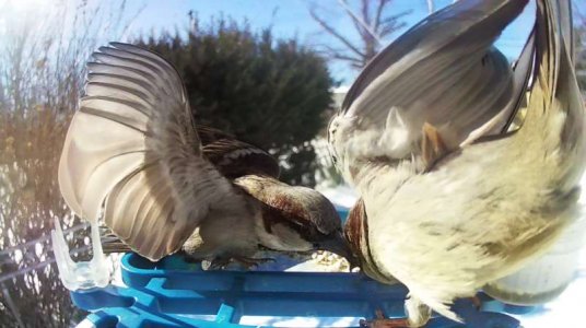 WhatsApp Image 2026-02-03 at 15.50.56 (5).jpeg