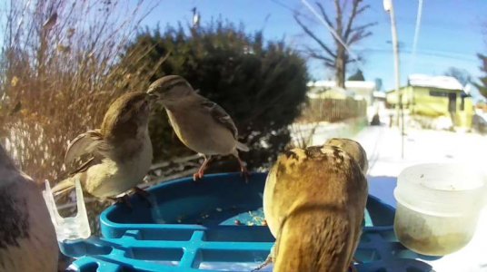 WhatsApp Image 2026-02-03 at 15.50.56 (6).jpeg