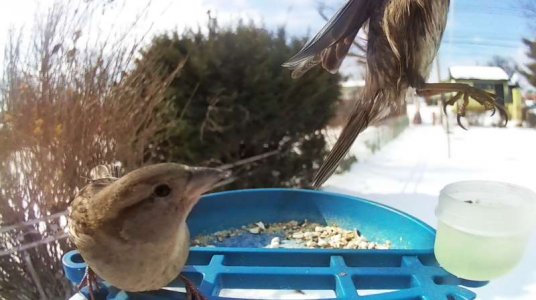 WhatsApp Image 2026-02-03 at 16.28.42.jpeg