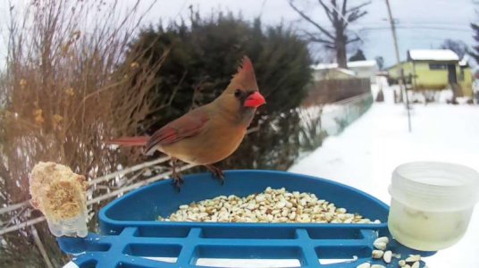 WhatsApp Image 2026-02-07 at 13.46.25 (5).jpeg