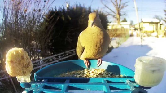 WhatsApp Image 2026-02-07 at 13.46.25 (4).jpeg